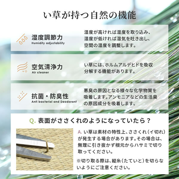 深さ・カラー・長さが選べる！収納庫付き畳ユニット【大維志】を通販で激安販売